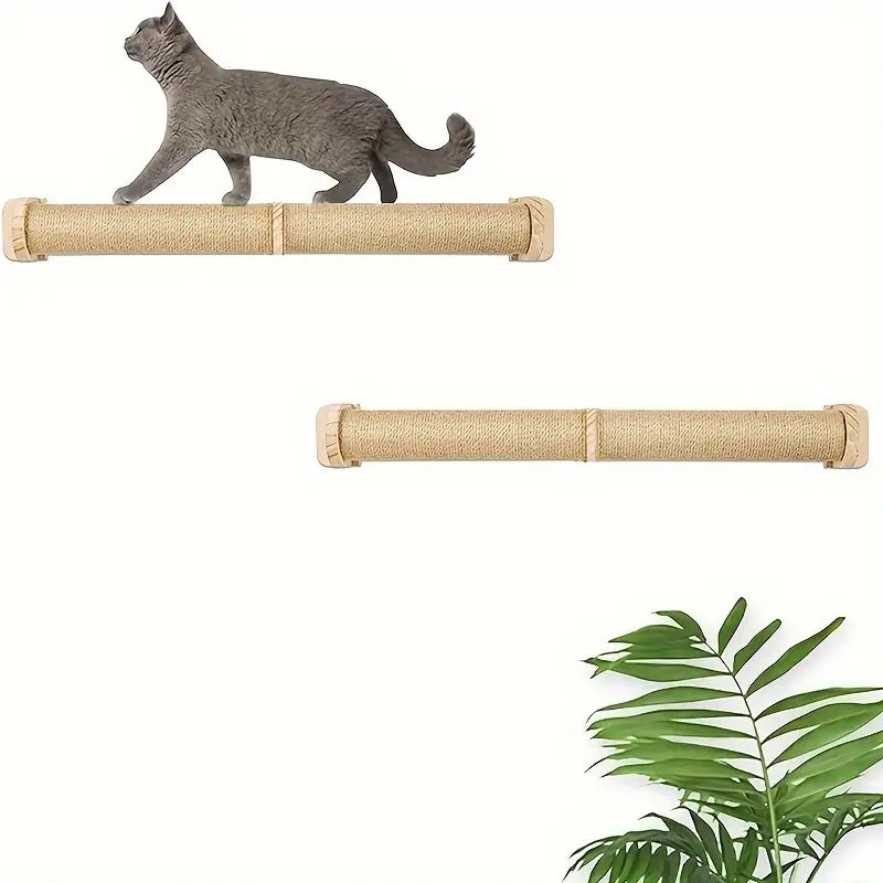 Cat Small