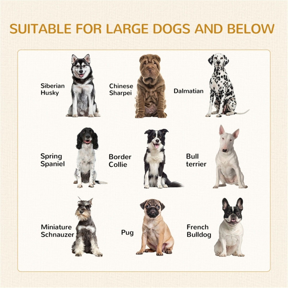 Dog Crate