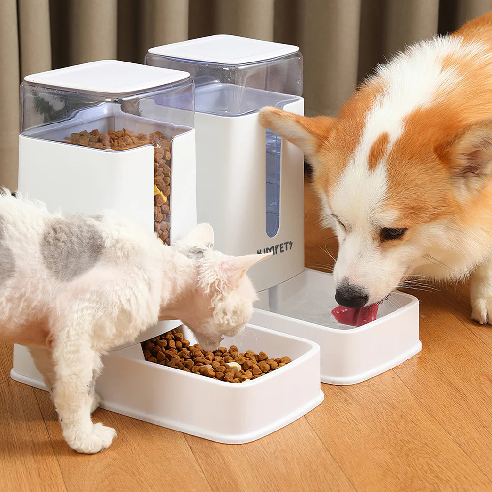 Voltsify 2-in-1 Automatic Pet Feeder & Water Dispenser Set, Non-Slip Base, Detachable for Easy Cleaning, Durable PP Plastic