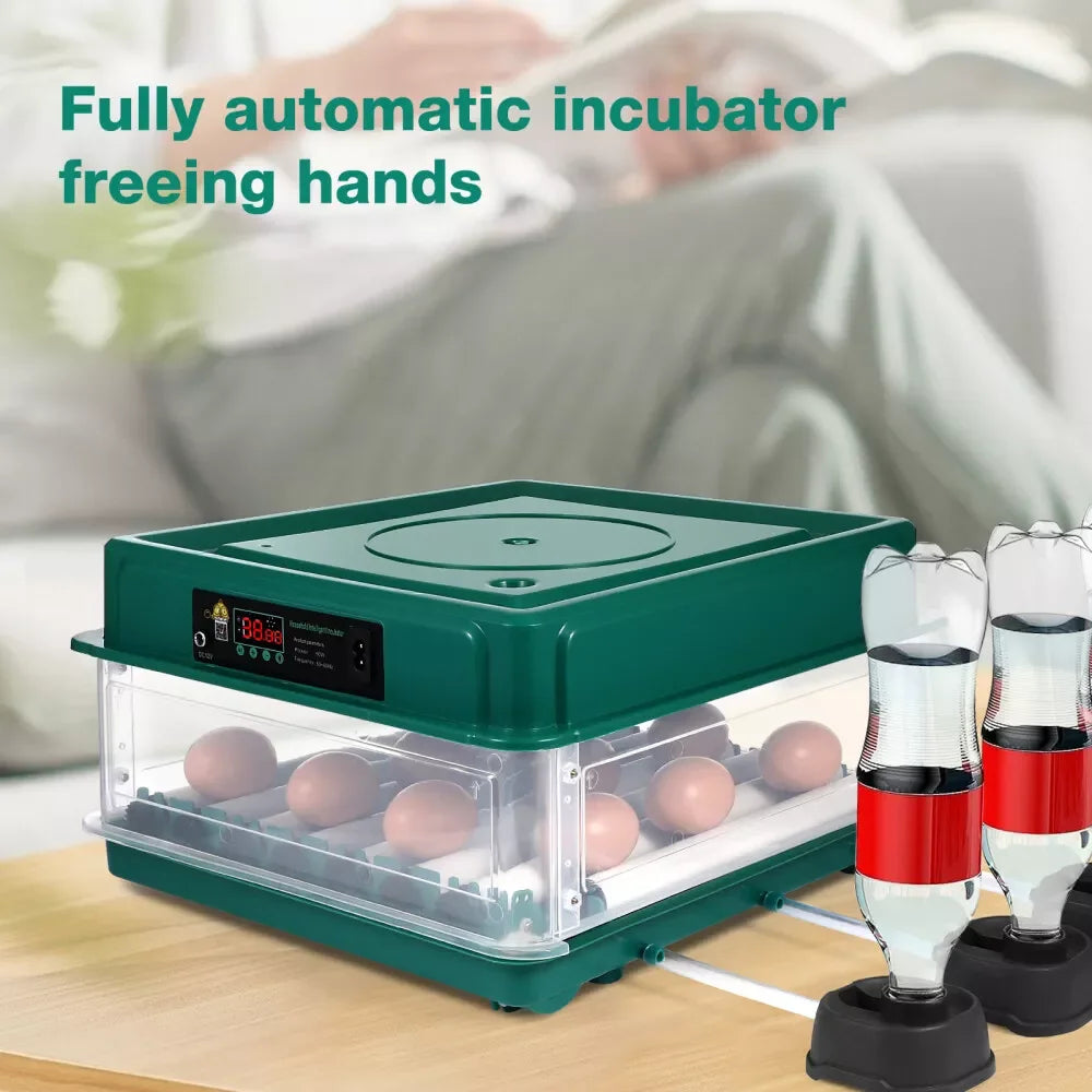 24-60 Eggs Double Electric Incubator Fully Automatic Chicken Duck Egg Hatcher Goose Pigeon Household Egg Incubator Green