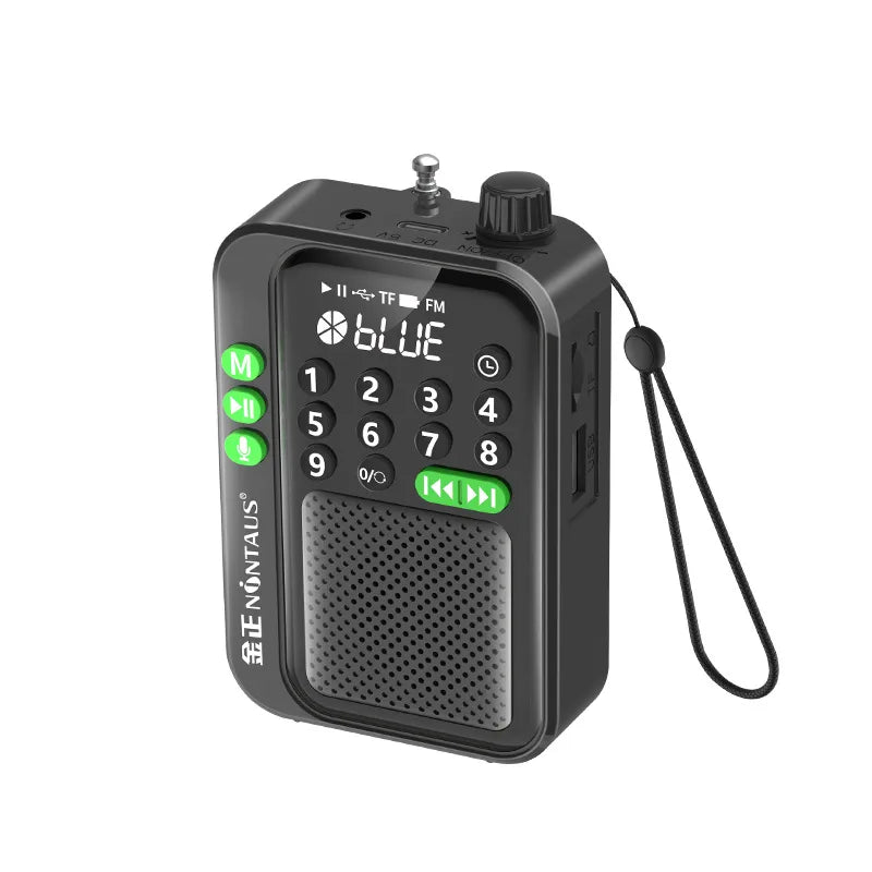 Mini Portable FM Radio Best Reception Radios 5W Wireless Bluetooth Speaker TF Card U Disk Music MP3 Player Support HD Rcording