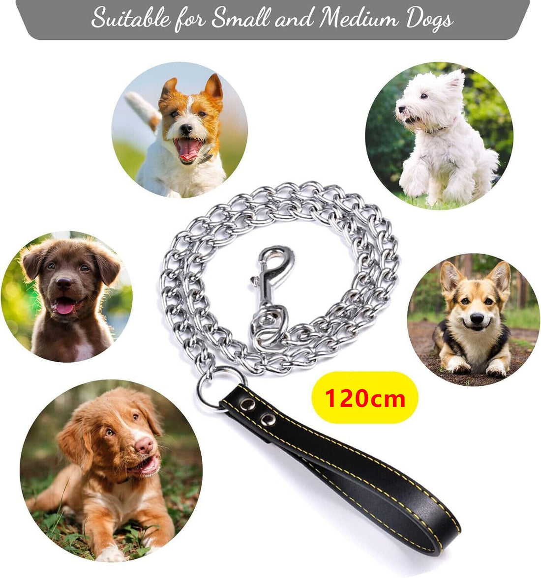 UK's Best Pet Accessories You Didn’t Know You Needed | Arrival Mega Store