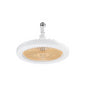 E27 Fan Light Shaking Head Electric Fan Remote Control Bedroom Living Room Dimmable Home Ceiling Fan Light