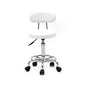Round Shape Adjustable Salon Stool with Back and Line White