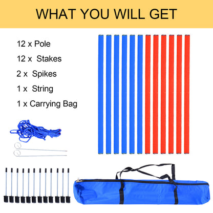 Dog Agility Training Equipment ( Amazon Shipping)（Prohibited by WalMart）