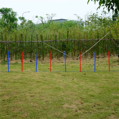 Dog Agility Training Equipment ( Amazon Shipping)（Prohibited by WalMart）