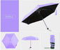 Pocket Umbrella