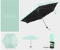 Pocket Umbrella
