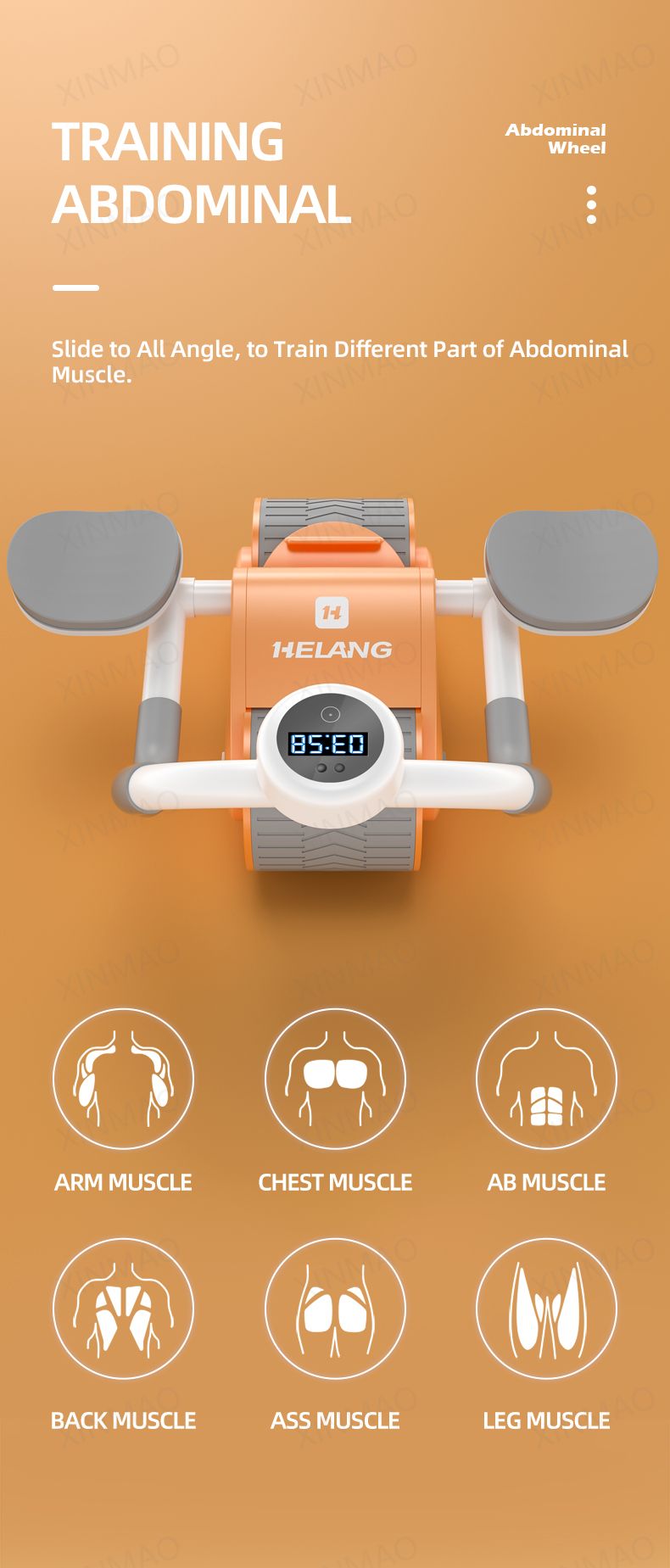 New Design Indoor Home Exercise Flat Elbow Supporter 2 Wheel Ab Trainer Automatic Rebound Abdominal Wheel Roller