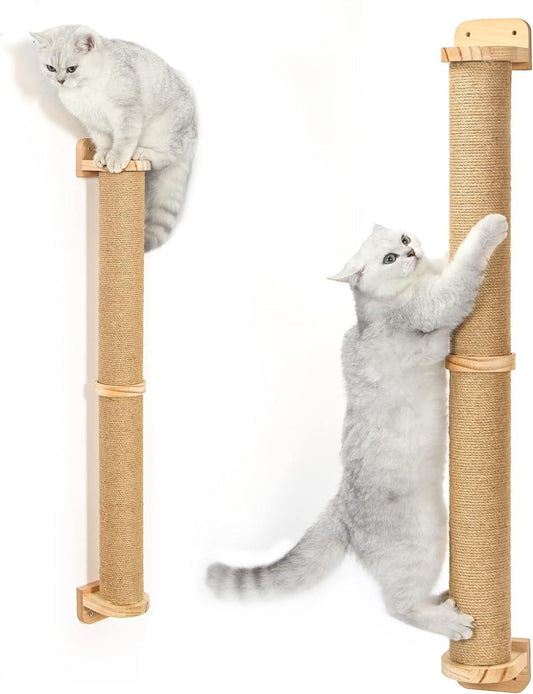 Cat Small