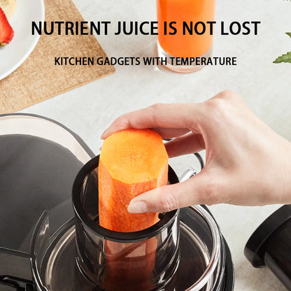 Juicer Machine 800W Stainless Steel Centrifugal Juicer Extractor with Wide Mouth 2.56” Feed Chute for Fruit Vegetable