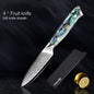 XITUO Damascus Steel Chef Knife Set Fine1-5 PCS Kitchen Knives Abalone shell handle Santoku knife
