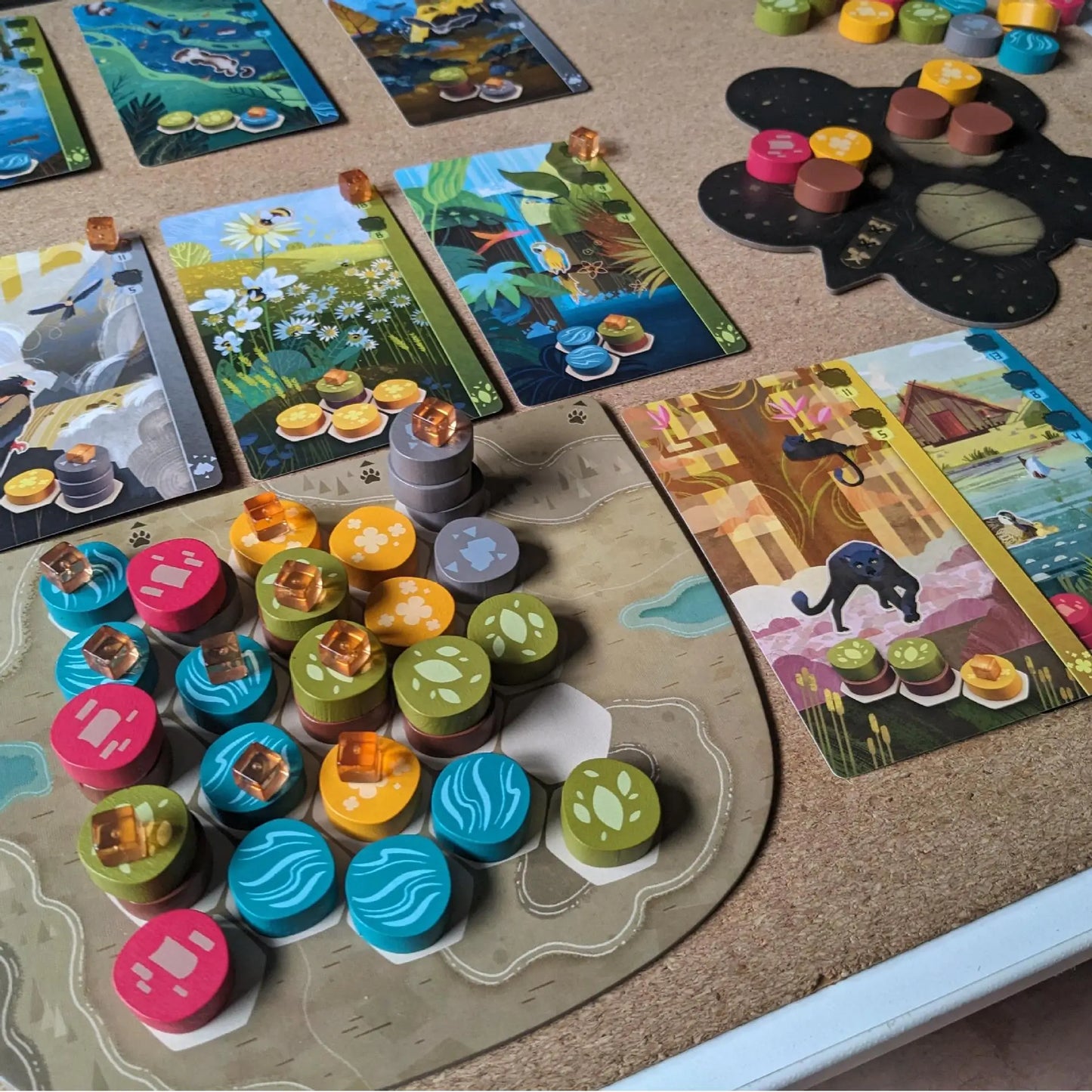 Harmonies - Board Games - Creation of Landscapes and Habitats for Animals - Strategy and Creativity - For Ages 10 and Above
