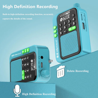 Mini Portable FM Radio Best Reception Radios 5W Wireless Bluetooth Speaker TF Card U Disk Music MP3 Player Support HD Rcording