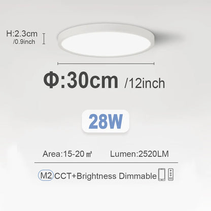LED Ceiling Lights 220V Ultra-thin Ceiling Lamps Modern Chandelier Panel Lighting Fixture Waterproof Dustproof Three Proof Light