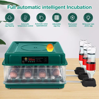 24-60 Eggs Double Electric Incubator Fully Automatic Chicken Duck Egg Hatcher Goose Pigeon Household Egg Incubator Green