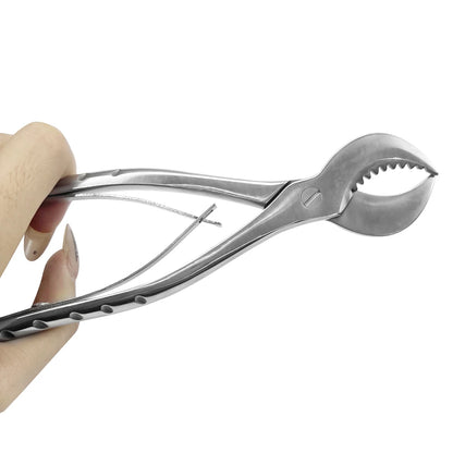 1Pcs S/L Dentist Lab Tools Dental Plaster Shears Scissiors Stainless Steel Forceps Instrument Gypsum Plaster Material Scissors