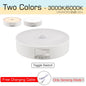 Motion Sensor Light USB Rechargeable Night Light LED Lamp for Kitchen Bedroom Stairs Hallway Cabinet Closet Wardrobe Nightlight