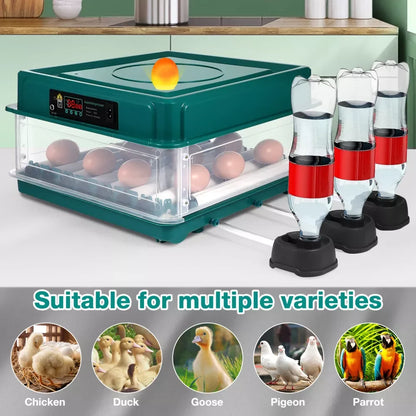 24-60 Eggs Double Electric Incubator Fully Automatic Chicken Duck Egg Hatcher Goose Pigeon Household Egg Incubator Green