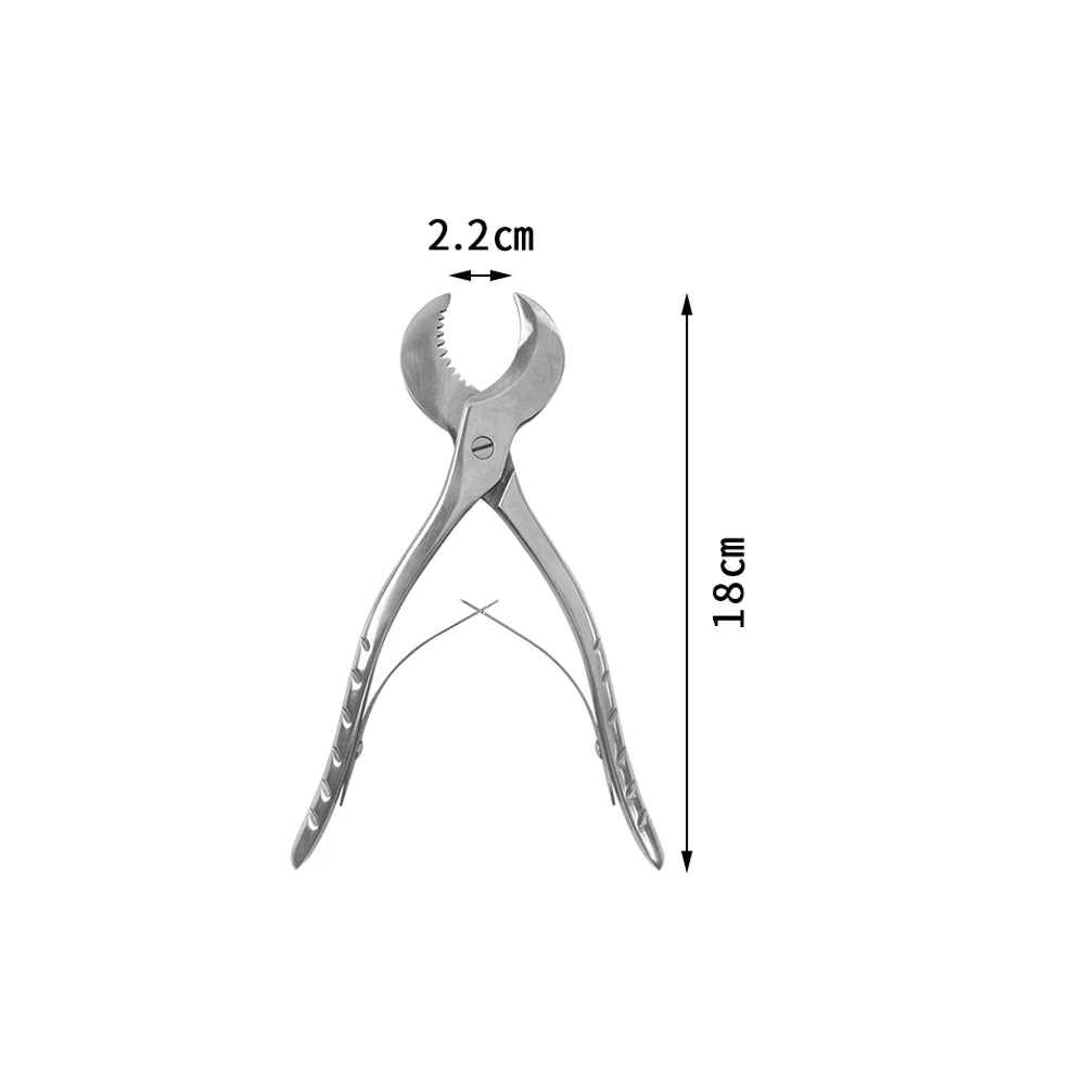 1Pcs S/L Dentist Lab Tools Dental Plaster Shears Scissiors Stainless Steel Forceps Instrument Gypsum Plaster Material Scissors