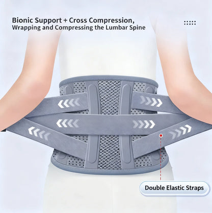 Back Brace Adjustable Waist Belt Support Brace for Lumbar Trainer Sweat Belt Comfortably Breathable for Assistance