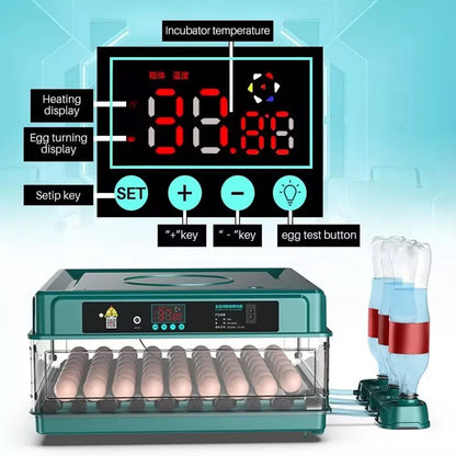 24-60 Eggs Double Electric Incubator Fully Automatic Chicken Duck Egg Hatcher Goose Pigeon Household Egg Incubator Green