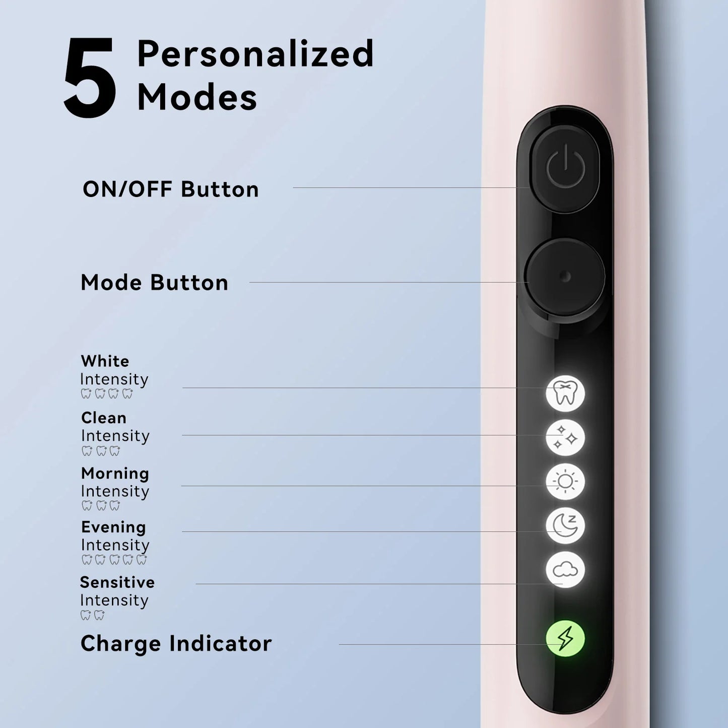 Seago Rotating Electric Toothbrush for Adults with 8 Toothbrush Heads and Travel Box Smart Display 5 Modes Waterproof SG-2607