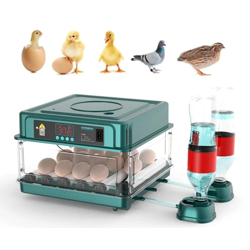 24-60 Eggs Double Electric Incubator Fully Automatic Chicken Duck Egg Hatcher Goose Pigeon Household Egg Incubator Green