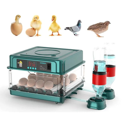 24-60 Eggs Double Electric Incubator Fully Automatic Chicken Duck Egg Hatcher Goose Pigeon Household Egg Incubator Green