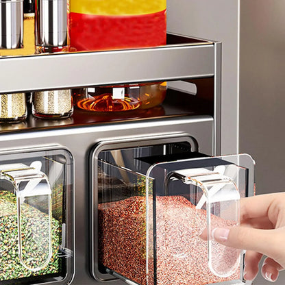 Condiment Holder, Kitchen Condiment Organizer - Condiment Organizer Shelf - Multifunctional Shelves for Condiment Storage