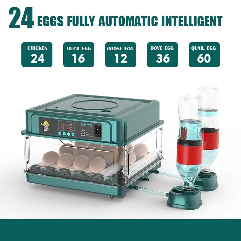 24-60 Eggs Double Electric Incubator Fully Automatic Chicken Duck Egg Hatcher Goose Pigeon Household Egg Incubator Green