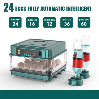 24-60 Eggs Double Electric Incubator Fully Automatic Chicken Duck Egg Hatcher Goose Pigeon Household Egg Incubator Green