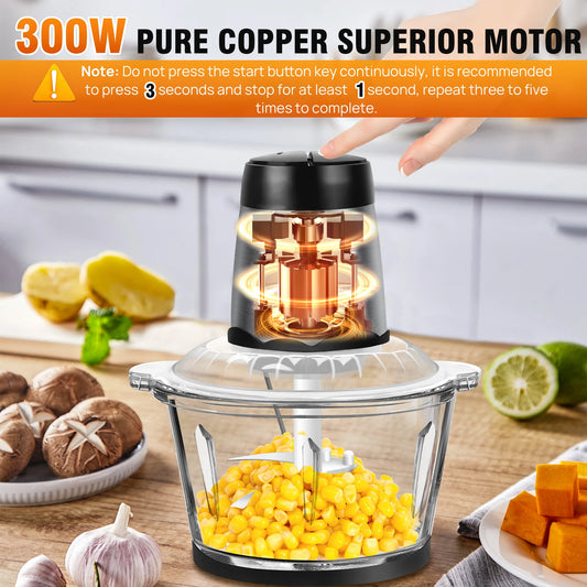 Meat Grinder 300W Electric Multi Blender Mixer with 2L Glass Container,2 Speed Settings,4 Stainless Steel Blades Easy to Clean