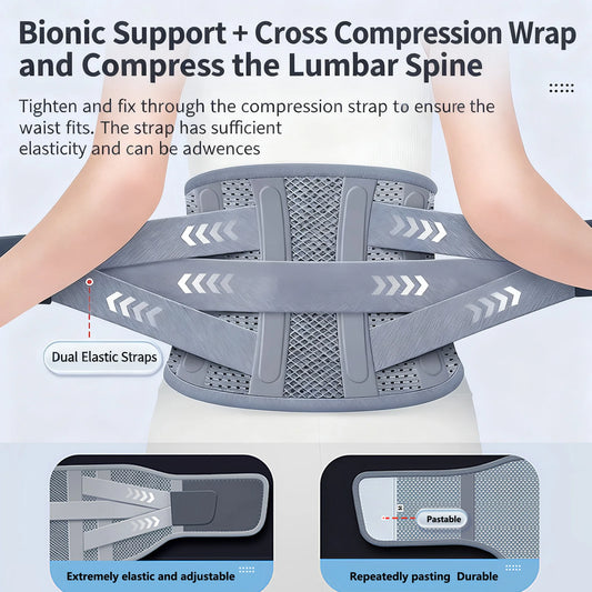 Back Brace Adjustable Waist Belt Support Brace for Lumbar Trainer Sweat Belt Comfortably Breathable for Assistance