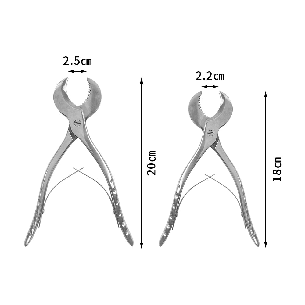 1Pcs S/L Dentist Lab Tools Dental Plaster Shears Scissiors Stainless Steel Forceps Instrument Gypsum Plaster Material Scissors