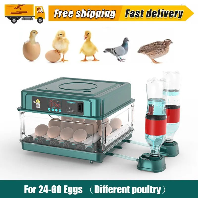 24-60 Eggs Double Electric Incubator Fully Automatic Chicken Duck Egg Hatcher Goose Pigeon Household Egg Incubator Green