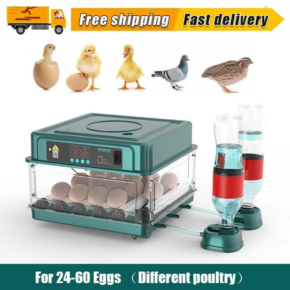 24-60 Eggs Double Electric Incubator Fully Automatic Chicken Duck Egg Hatcher Goose Pigeon Household Egg Incubator Green