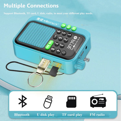 Mini Portable FM Radio Best Reception Radios 5W Wireless Bluetooth Speaker TF Card U Disk Music MP3 Player Support HD Rcording
