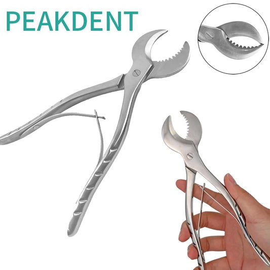 1Pcs S/L Dentist Lab Tools Dental Plaster Shears Scissiors Stainless Steel Forceps Instrument Gypsum Plaster Material Scissors