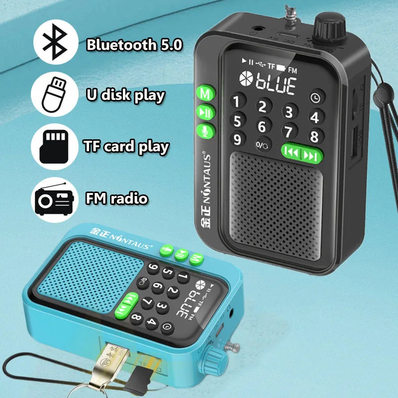 Mini Portable FM Radio Best Reception Radios 5W Wireless Bluetooth Speaker TF Card U Disk Music MP3 Player Support HD Rcording